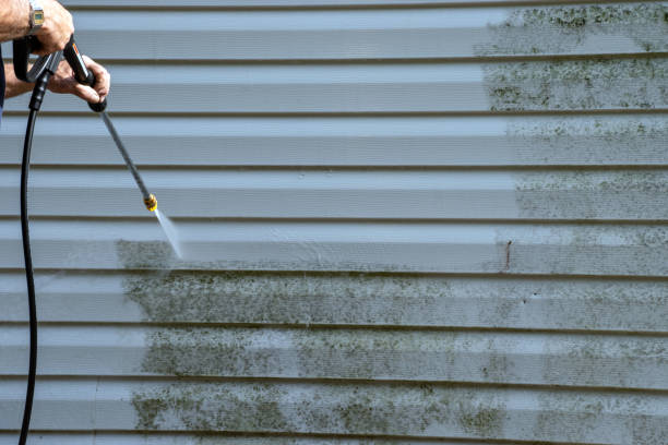 Best Property Management Cleanouts  in Hoback, WY