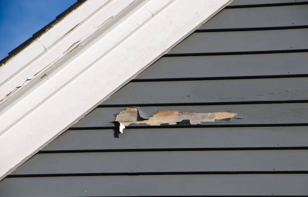 Best Construction Debris Removal  in Hoback, WY